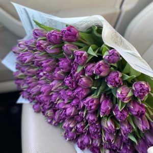 Пионовидные тюльпаны 101 шт